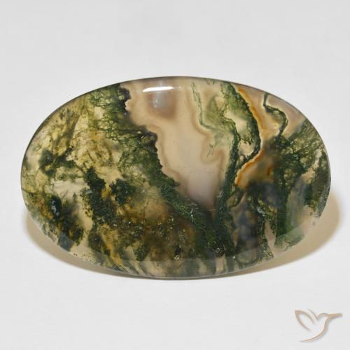 47.75ct Naturale Multicolore Agata muschiata, Ovale, Traslucido