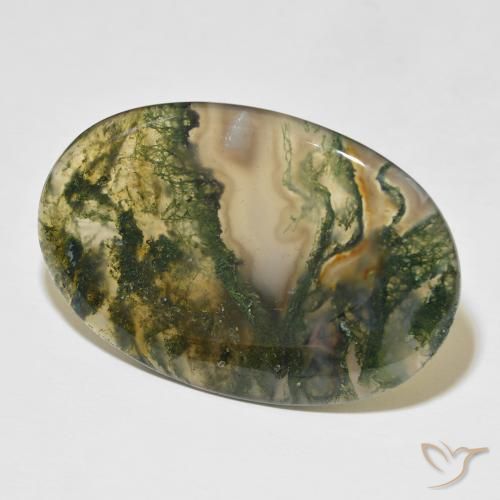 Agata muschiata Multicolore naturale da 47.75 ct, Ovale, Traslucido