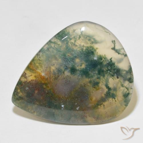 49.60ct Naturale Multicolore Agata muschiata, Forma a pera, Traslucido