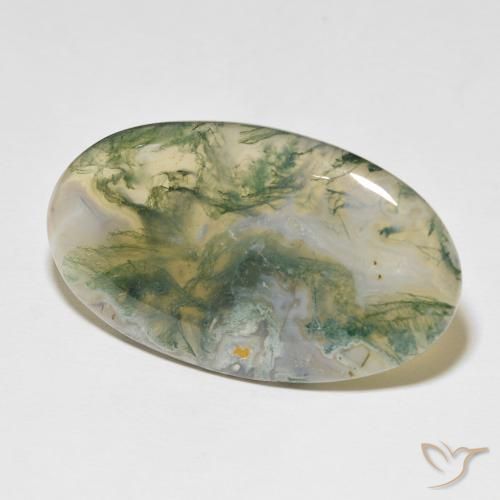 Agata muschiata Multicolore naturale da 48.97 ct, Ovale, Opaco