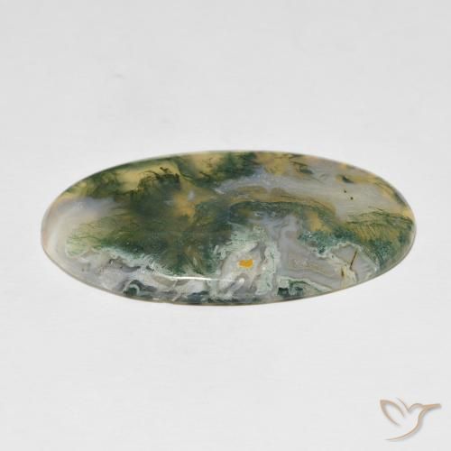 Agata muschiata Multicolore naturale da 48.97 ct, Ovale, Opaco