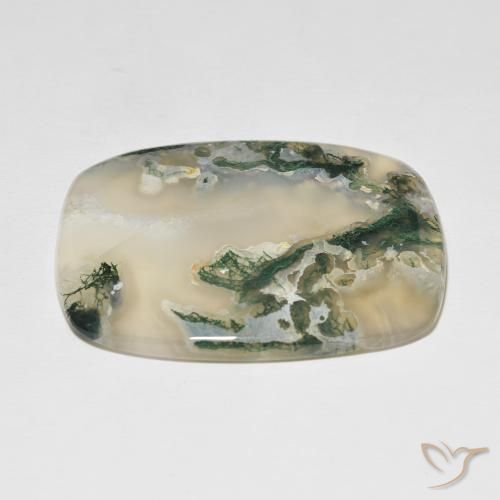 Agata muschiata Multicolore naturale da 82.54 ct, Cuscino, Traslucido
