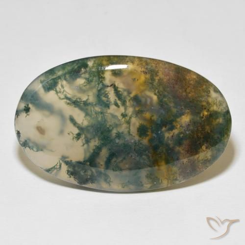 63.36ct Naturale Multicolore Agata muschiata, Ovale, Traslucido