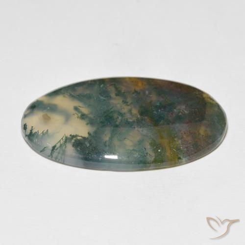 Agata muschiata Multicolore naturale da 63.36 ct, Ovale, Traslucido