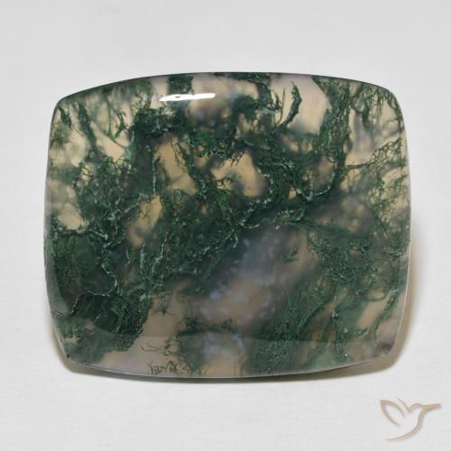 27.23ct Naturale Multicolore Agata muschiata, Cuscino, Opaco
