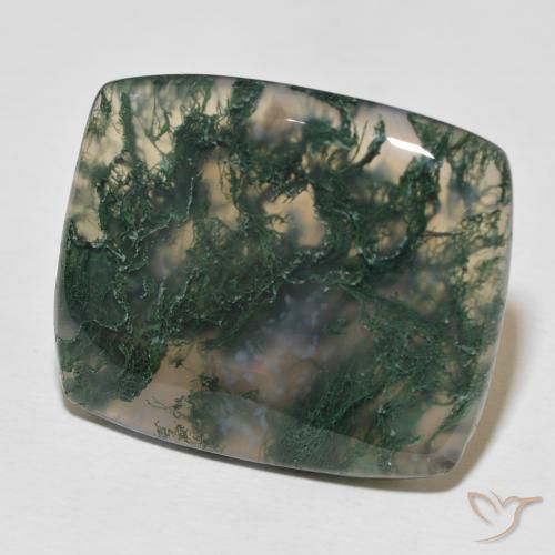 Agata muschiata Multicolore naturale da 27.23 ct, Cuscino, Opaco
