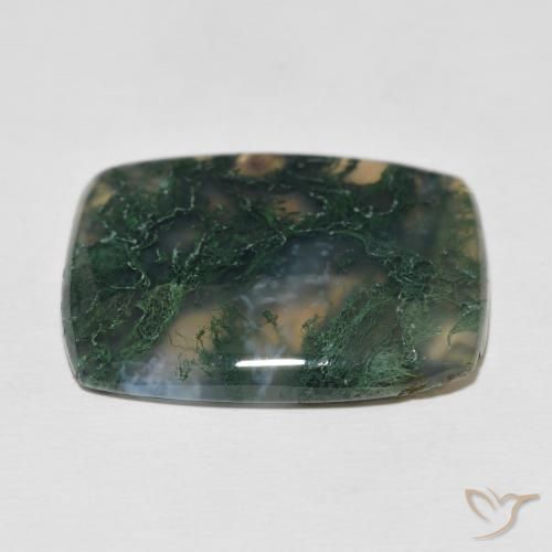 Agata muschiata Multicolore naturale da 27.23 ct, Cuscino, Opaco