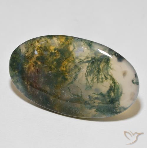 Agata muschiata naturale multicolore da 47,03 ct, taglio ovale, opaco