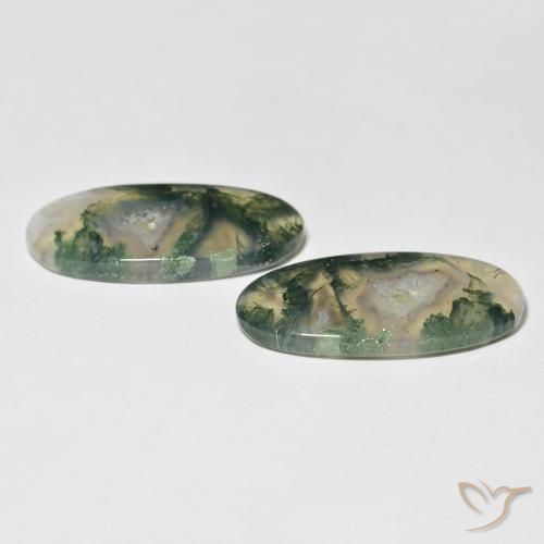 Gemme di Agata muschiata Multicolore naturale da 30.74 ct, Ovale, Traslucido