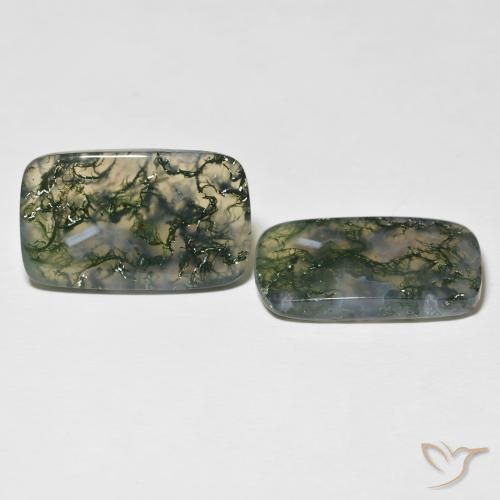 Gemme di Agata muschiata Multicolore naturale da 28.06 ct, Cuscino, Traslucido