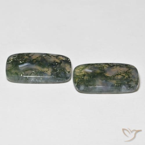 Gemme di Agata muschiata Multicolore naturale da 28.06 ct, Cuscino, Traslucido