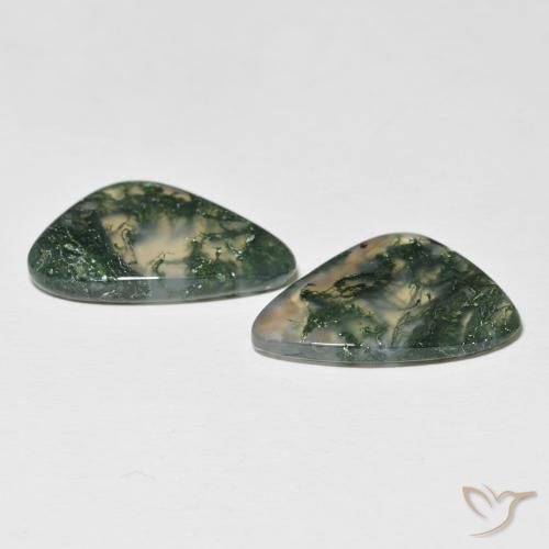 Gemme di Agata muschiata Multicolore naturale da 19.96 ct, Taglio a fantasia, Traslucido
