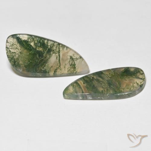 Gemme di Agata muschiata Multicolore naturale da 24.05 ct, Taglio a fantasia, Traslucido