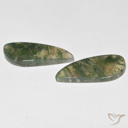 Gemme di Agata muschiata Multicolore naturale da 24.05 ct, Taglio a fantasia, Traslucido