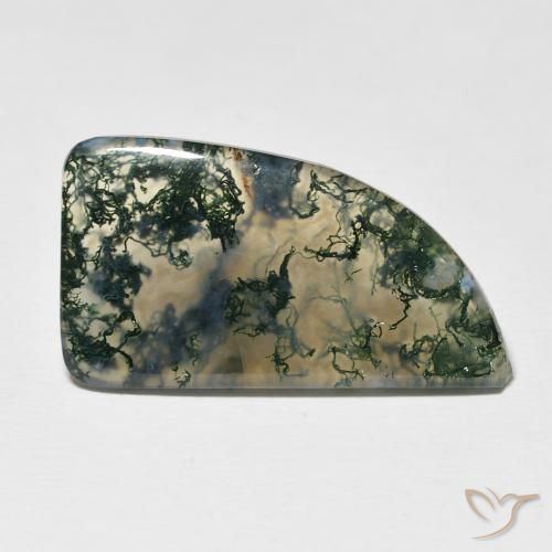 12.73ct Naturale Multicolore Agata muschiata, Taglio a fantasia, Traslucido