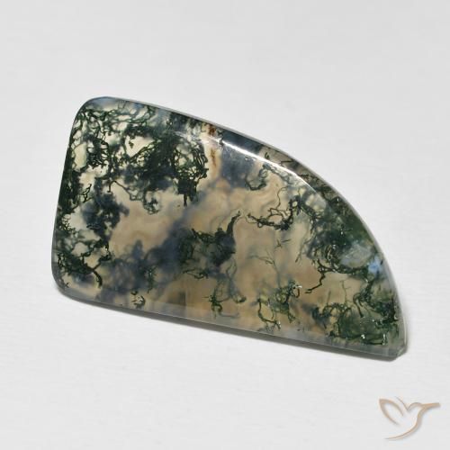 Agata muschiata Multicolore naturale da 12.73 ct, Taglio a fantasia, Traslucido