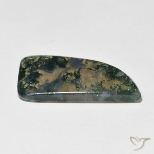 Agata muschiata Multicolore naturale da 12.73 ct, Taglio a fantasia, Traslucido