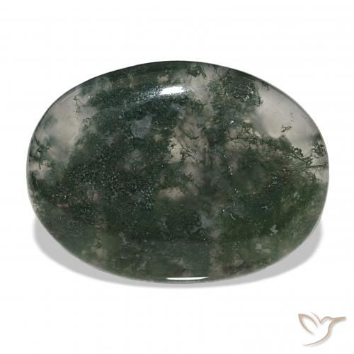 39.60ct Multicolore Agata muschiata, Ovale, Traslucido