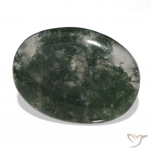 Agata muschiata Multicolore naturale da 39.60 ct, Ovale, Traslucido