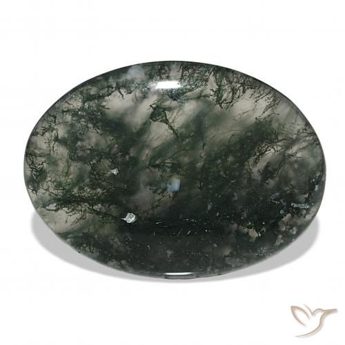 53.06ct Multicolore Agata muschiata, Ovale, Traslucido