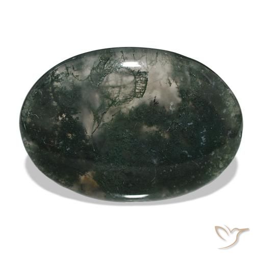58.50ct Multicolore Agata muschiata, Ovale, Traslucido