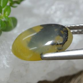 Opale muschioso Dendrite gialla naturale da 2.98 ct, Taglio ovale, Traslucido