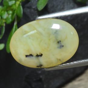 Opale muschiata naturale giallo da 4,33 ct, taglio ovale, traslucido