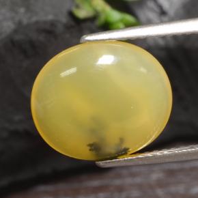 Opale muschiata naturale giallo da 3,65 ct, taglio ovale, traslucido