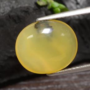 Opale muschiata naturale giallo da 3,65 ct, taglio ovale, traslucido