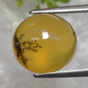 Opale muschiata naturale giallo da 5,08 ct, taglio ovale, traslucido