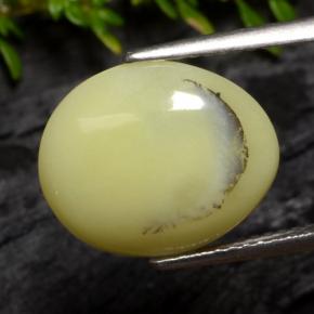 Opale muschioso Giallo crema naturale da 4.25 ct, Taglio ovale, Traslucido