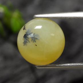 Opale muschiata naturale giallo da 2,73 ct, taglio rotondo, traslucido