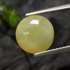 Opale muschiata naturale giallo da 2,73 ct, taglio rotondo, traslucido