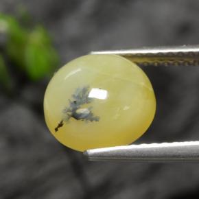 Opale muschiata naturale giallo da 2,73 ct, taglio rotondo, traslucido