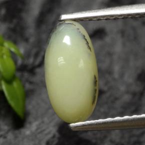 Opale muschiata dendrite gialla naturale da 1,12 ct, taglio ovale, traslucido