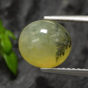Opale muschioso Dendrite gialla naturale da 1.93 ct, Taglio ovale, Traslucido