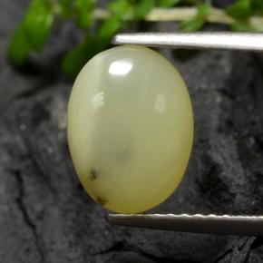 Opale muschioso Giallo crema naturale da 1.93 ct, Taglio ovale, Traslucido
