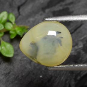 Opale muschiata naturale giallo da 1,79 ct, taglio a pera, traslucido
