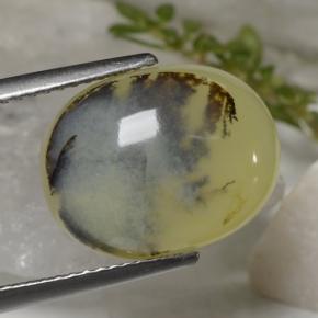 Opale muschiata naturale giallo da 6,23 ct, taglio ovale, traslucido