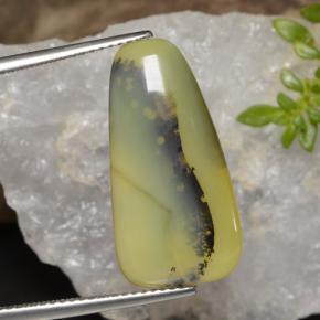 Opale muschioso Dendrite gialla naturale da 8.75 ct, Forma fantasia, Traslucido