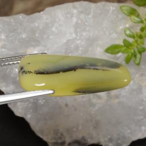 Opale muschioso Dendrite gialla naturale da 8.75 ct, Forma fantasia, Traslucido