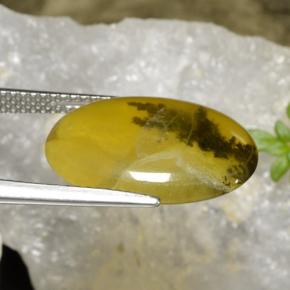 Opale muschioso Dendrite gialla naturale da 6.54 ct, Taglio ovale, Traslucido
