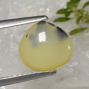 Opale muschiata naturale giallo da 1,59 ct, taglio a pera, traslucido
