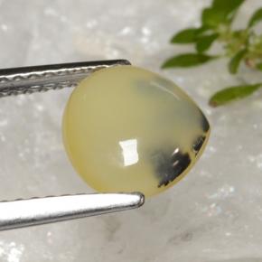 Opale muschiata naturale giallo da 1,59 ct, taglio a pera, traslucido