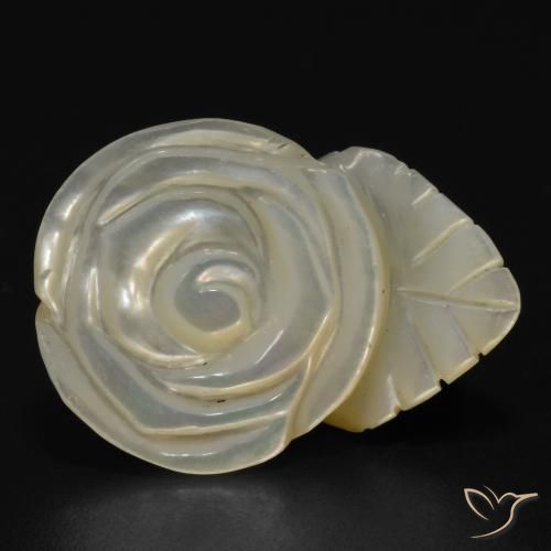 Madreperla bianco perla naturale da 17.50 ct, Taglio a fiore, Opaco
