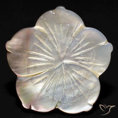 Madreperla Bianco naturale da 24.27 ct, Taglio a fiore, Opaco