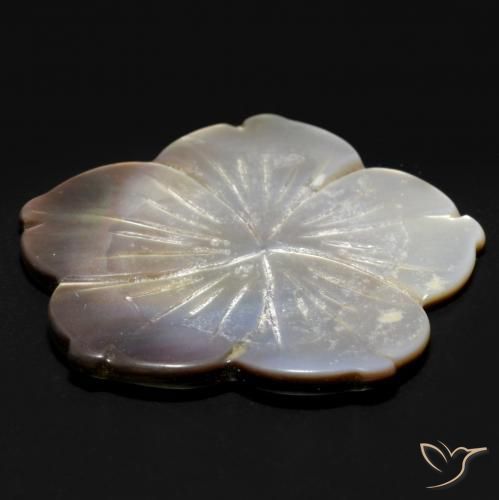 Madreperla Bianco naturale da 24.27 ct, Taglio a fiore, Opaco