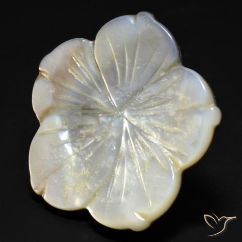 Madreperla Bianco naturale da 29.23 ct, Taglio a fiore, Opaco