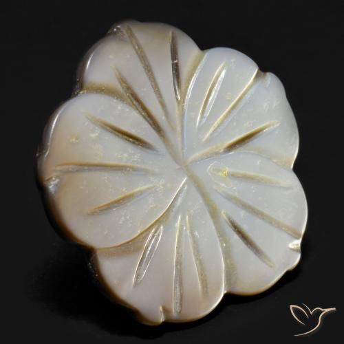Madreperla Grigio fumo naturale da 14.21 ct, Taglio a fiore, Opaco