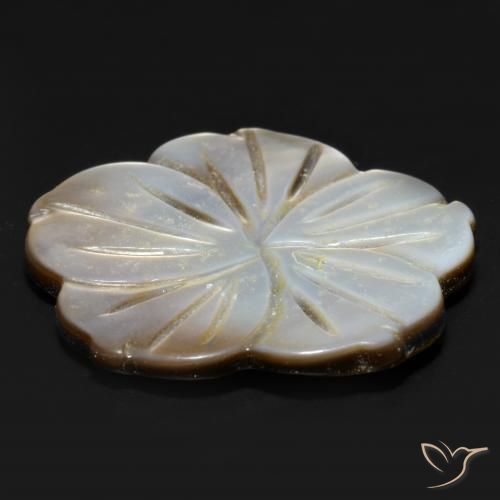 Madreperla Grigio fumo naturale da 14.21 ct, Taglio a fiore, Opaco